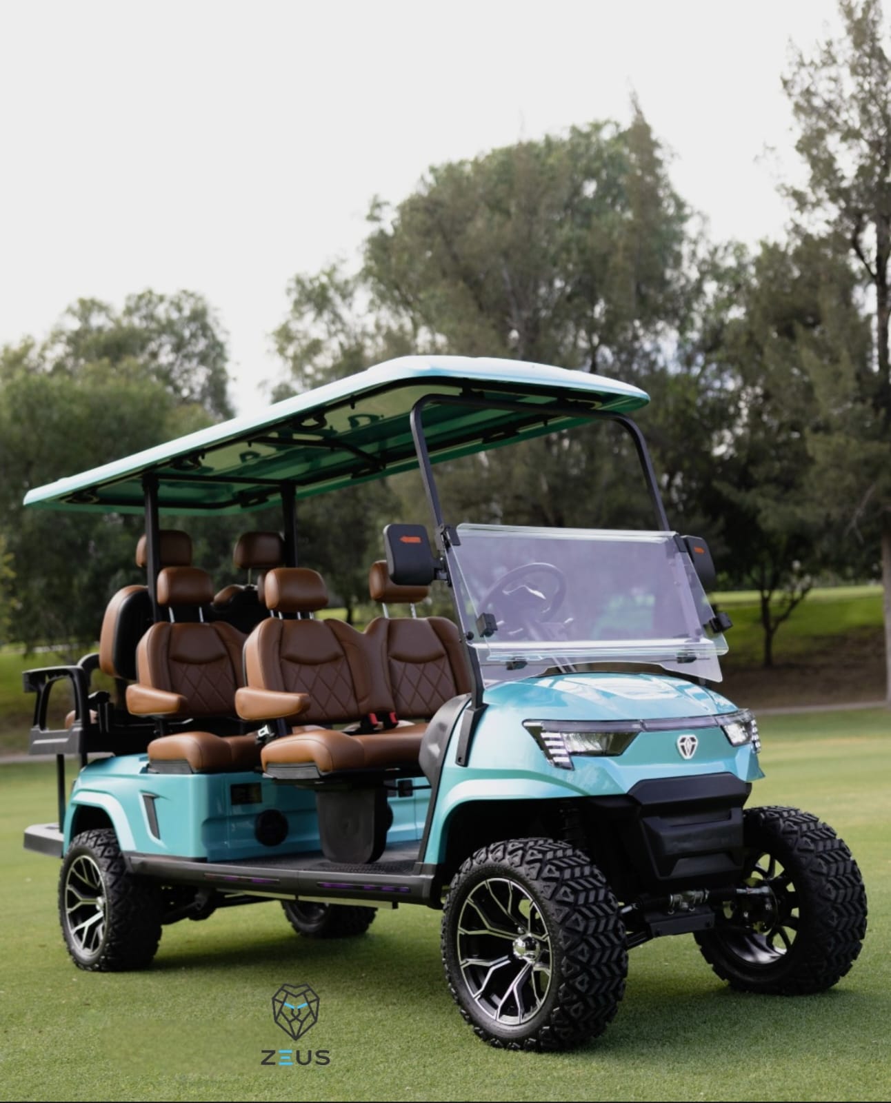 Premium 6-passenger electric golf cart in teal with lifted off-road wheels and diamond-stitched leather seats